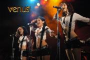 Venus 6 Show Band